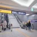 [수서2] 화요 피아노 (A) | SRT 수서역 지하1층 식당 카페 맛집 매장