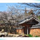 선암사 이미지