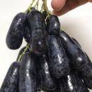 사파이어쇼핑몰