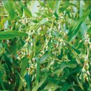 덕림환경 이미지