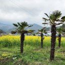 영한농장 이미지