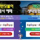 부대찌개애 반햇소 이미지