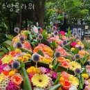 소망플라워 이미지
