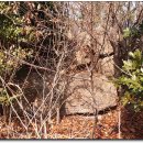 비봉산 정상부 이미지