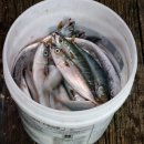 원전펜션 이미지