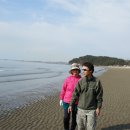 해송 - 보령시 해수욕장6길 28 | 해송