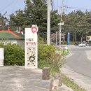 이철우농장 | 강릉 이철우 딸기농장 다녀왔어요