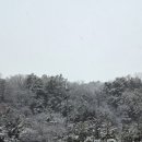 대소원 | (내돈내산후기)충주대소원 대영힐스CC 캐디추천 골프장 맛집 [부연오리]