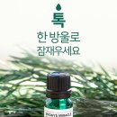 오일스팟 이미지