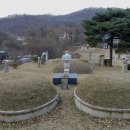 강지선생묘 이미지