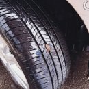 토르모터스 이미지