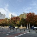 상리봉 정상 네이버블로그