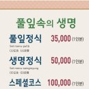 풀잎속의생명