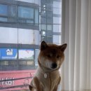 강산컴퍼니 이미지