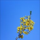 장성 축령산(추암관광농원~축령산~추암관광농원)