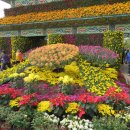 공주목욕탕 이미지