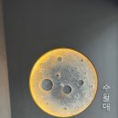 수월애 쭈꾸미 이미지