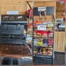 수지애견 | 용인 수지 별똥구리 애견카페맛집 방문 솔직후기 🐶 내돈내산