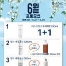 싹다이스2 이미지