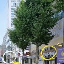 구덕운동장 육교 인근 | 부산대신동미용실 헤어보그, 염색과 펌 잘하는 곳 1순위 추천!