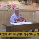 장어와미꾸라지 이미지