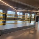 한국체대 복싱 이미지