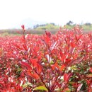 나주농장 이미지