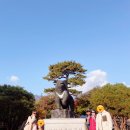 현대파크 | 🍁 설악산 단풍 가족여행 &amp; 현대아이파크 숙박 후기