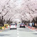 흥무로1(가운데) 이미지