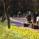 남산 산책로 이미지