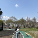 오하루 베이글 이미지