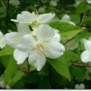 하늘담한의원 이미지