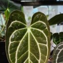 우후농장 이미지