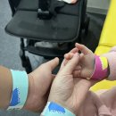 대천 파크골프장 공중화장실 | 원주 오크밸리 ‘바운스 슈퍼파크’에서 체력빼기 성공!!