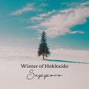 마이텔 | 삿포로 에어텔 3박 4일 항공권 료칸 포함 투어 일정