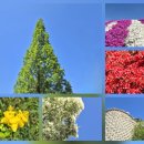 삼죽 기솔리 국사암 석조여래입상 | 뒷산-국사봉-국사암-덕산저수지...경기도 안성시 보개면, 안성시 삼죽면