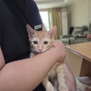 진영동물병원 이미지