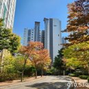 금곡킹스키즈유치원 이미지
