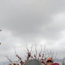 10월8일(일) 인천 원적산 (양탄자길), 장수산 이미지