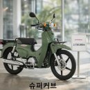 베스트바이크 | 슈퍼커브 vs 시티베스트 배달용 바이크 뭐가 더 나을까? 비교 리뷰