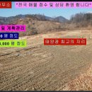 태양부동산중개사무소 이미지