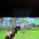 버디24스크린골프장 네이버블로그
