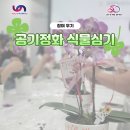 원예테라피 | [참여 후기] 원예 테라피_공기 정화 식물 심기 원데이클래스