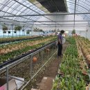 영민 농장 이미지