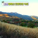 황매산군립공원 | 11월 가을 여행지 합천 황매산 군립공원 억새 주차장, 가는길