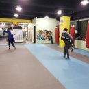 스타 복싱 다이어트 이미지