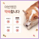 강아지 분양 프러포즈펫 | 순천 강아지 분양 어반펫 비숑 후기와 서비스 특징