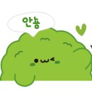 관저S한의원 이미지