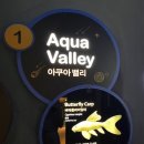 아쿠아 밸리 이미지