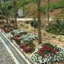 민지네 펜션 이미지